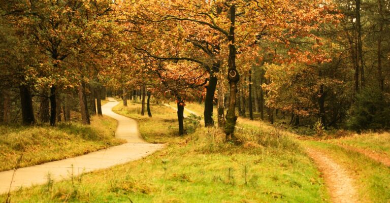 Wanderwege ums Hotel