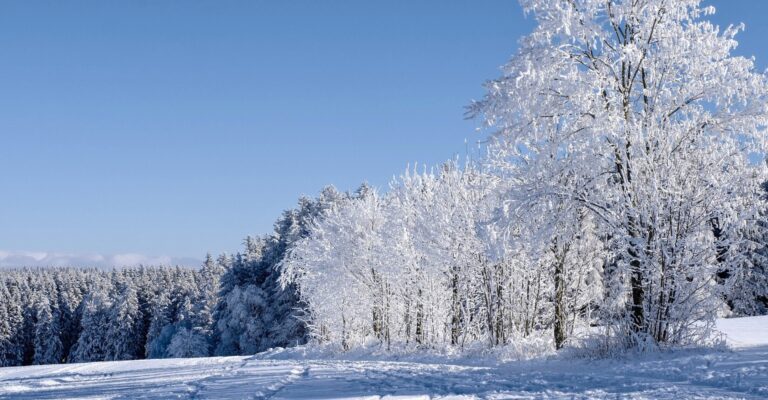 Die Rhön im Winter